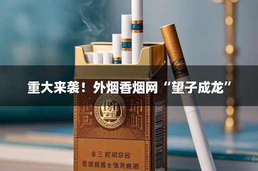 重大来袭！外烟香烟网“望子成龙”