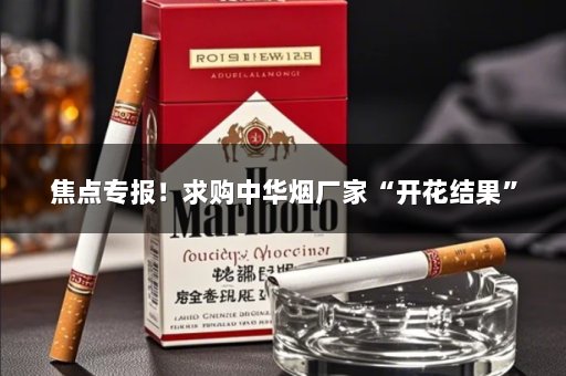 焦点专报！求购中华烟厂家“开花结果”